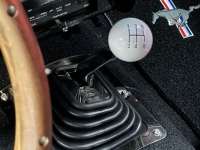 1972 Ford Mustang for sale in Michigan (ID-163381)