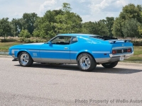 1972 Ford Mustang for sale in Riverhead, New York (ID-163814)