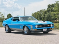 1972 Ford Mustang for sale (ID-163878)