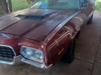 1972 Ford Ranchero for sale in Michigan (ID-119344)