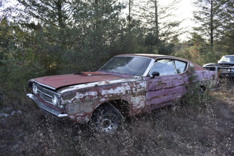 1972 Ford Torino for sale in Michigan (ID-122795) 1972 Ford Torino for sale in Michigan (ID-122795)