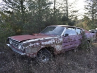 1972 Ford Torino for sale in Michigan (ID-122795)