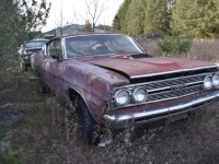 1972 Ford Torino for sale in Michigan (ID-122795)