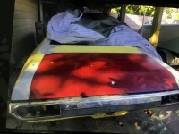 1972 Ford Torino GT for sale in Michigan (ID-113513)