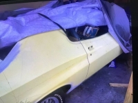 1972 Ford Torino GT for sale in Michigan (ID-113513)