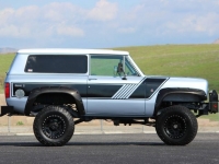 1972 International Scout II for sale in Michigan (ID-126408)