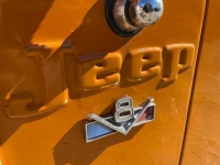 1972 Jeep CJ5 for sale in Michigan (ID-124994)