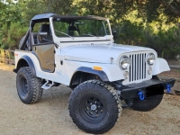 1972 Jeep CJ5 for sale in Michigan (ID-138124)