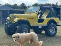 1972 Jeep CJ5 for sale in Michigan (ID-145238)