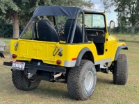 1972 Jeep CJ5 for sale in Michigan (ID-145238)