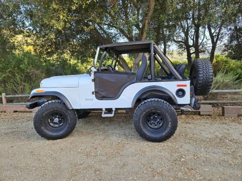 1972 Jeep CJ5 for sale in Michigan (ID-163736)