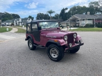 1972 Jeep Wrangler for sale in Michigan (ID-123878)