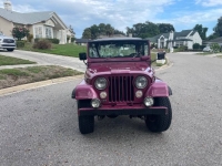 1972 Jeep Wrangler for sale in Michigan (ID-123878)