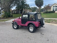 1972 Jeep Wrangler for sale in Michigan (ID-123878)