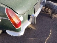 1972 MG MGB for sale in Michigan (ID-140250)
