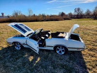 1972 Oldsmobile 442 for sale (ID-127519)