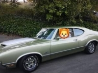 1972 Oldsmobile Cutlass for sale in Michigan (ID-155113)