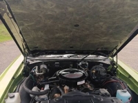 1972 Oldsmobile Cutlass for sale in Michigan (ID-162855)