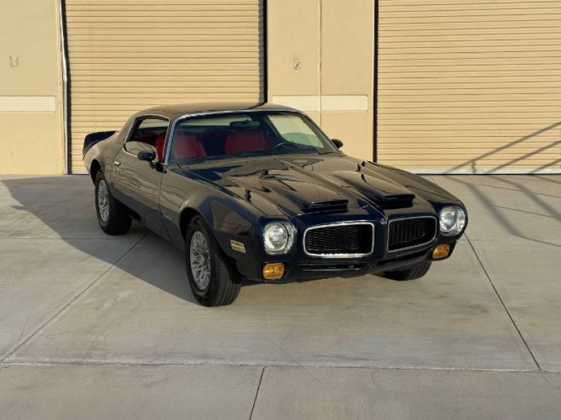1972 Pontiac Firebird for sale in Michigan (ID-154896)