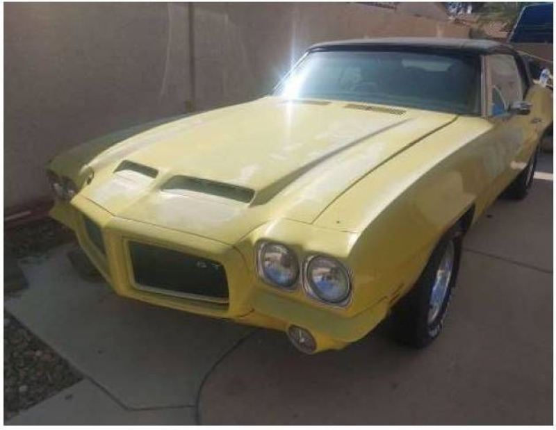 1972 Pontiac LeMans for sale in Michigan (ID-113172)
