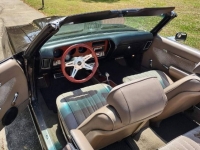 1972 Pontiac LeMans for sale in Michigan (ID-118177)