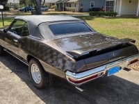 1972 Pontiac LeMans for sale in Michigan (ID-118177)