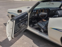 1972 Pontiac LeMans for sale (ID-118235)