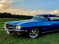 1972 Pontiac LeMans for sale in Michigan (ID-123096)