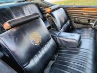 1972 Pontiac LeMans for sale in Michigan (ID-123096)