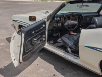 1972 Pontiac LeMans for sale (ID-124732)