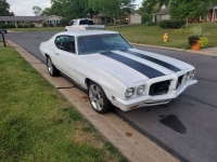 1972 Pontiac LeMans for sale in Michigan (ID-131309)