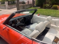 1972 Pontiac LeMans for sale in Michigan (ID-141370)