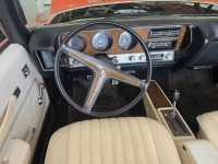 1972 Pontiac LeMans for sale in Michigan (ID-143739)
