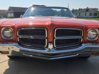 1972 Pontiac LeMans for sale in Michigan (ID-143739)