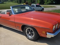 1972 Pontiac LeMans for sale in Michigan (ID-143739)