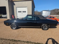 1972 Pontiac LeMans for sale in Michigan (ID-143801)