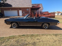 1972 Pontiac LeMans for sale in Michigan (ID-143801)
