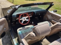 1972 Pontiac LeMans for sale in Michigan (ID-156125)