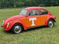 1972 Volkswagen Beetle for sale in Michigan (ID-131244)