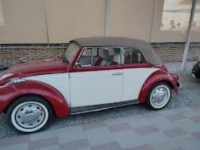 1972 Volkswagen Beetle for sale in Michigan (ID-145698)