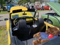 1972 Volkswagen Beetle for sale in Michigan (ID-146058)