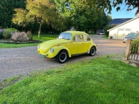 1972 Volkswagen Super Beetle for sale in Michigan (ID-119558)