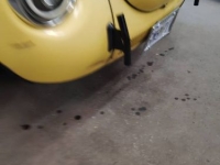 1972 Volkswagen Super Beetle for sale in Michigan (ID-144925)