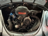 1972 Volkswagen Super Beetle for sale in Michigan (ID-163907)