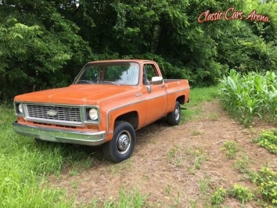 1973 Chevrolet C/K 1500 for sale