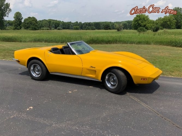 1973 Chevrolet Corvette Stingray for sale in Michigan (ID-38275)