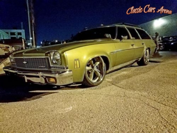 1973 Chevrolet Malibu for sale in Michigan (ID-43987)