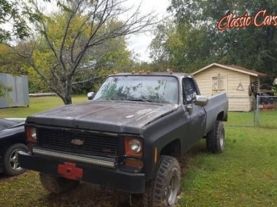 1973 Chevrolet Pickup for sale
