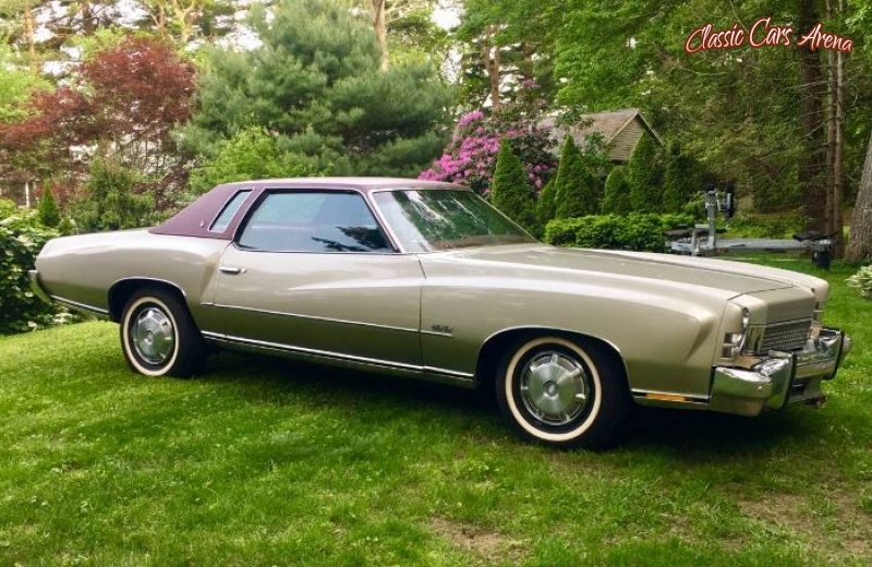 1973 Chevrolet Monte Carlo for sale in Michigan (ID-64574)