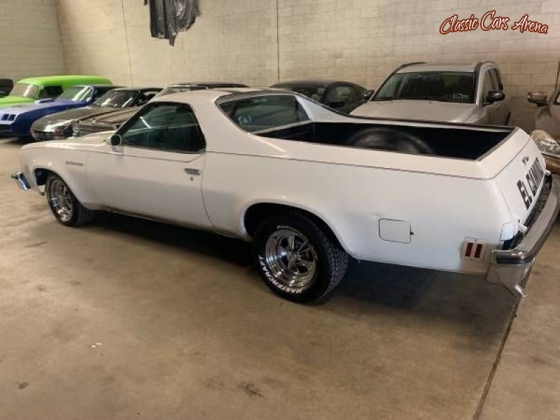 1973 Chevrolet El Camino for sale in Michigan (ID-73653)